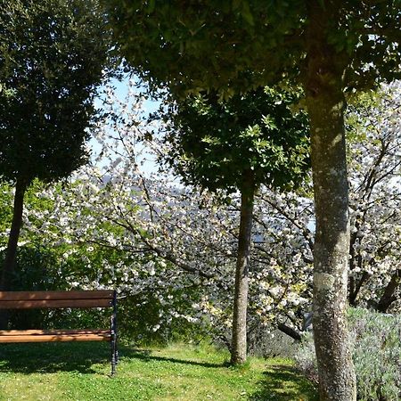 Monte A Pescia Villa Exterior foto