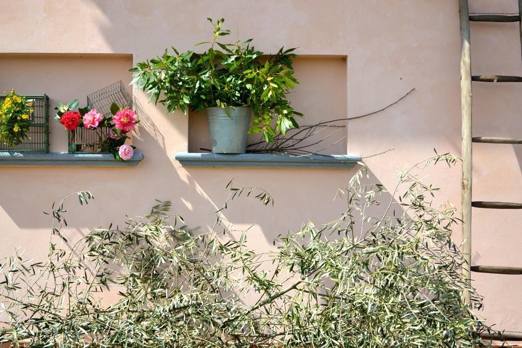 Monte A Pescia Villa Exterior foto